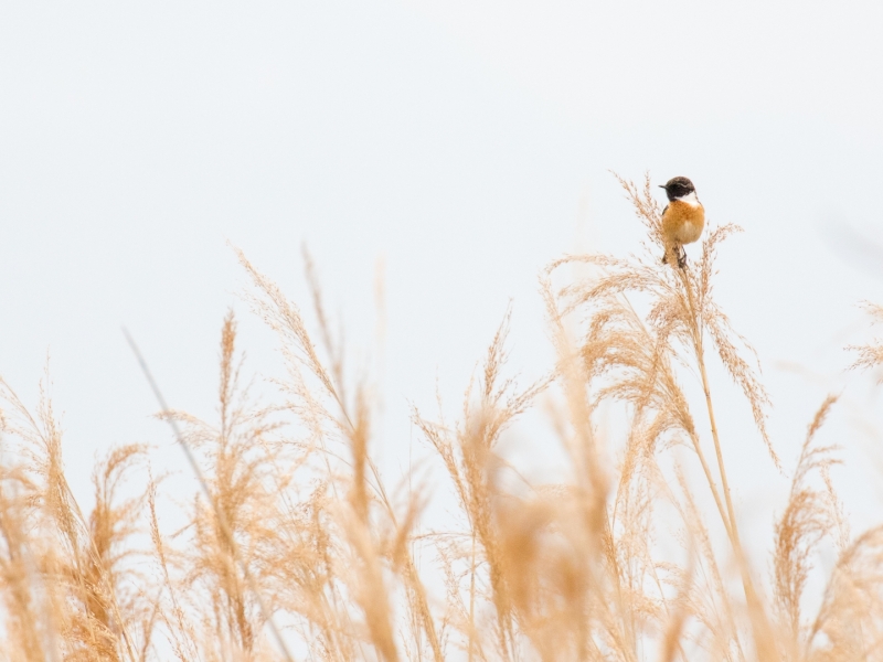 Photo expo Jonathan Guillot