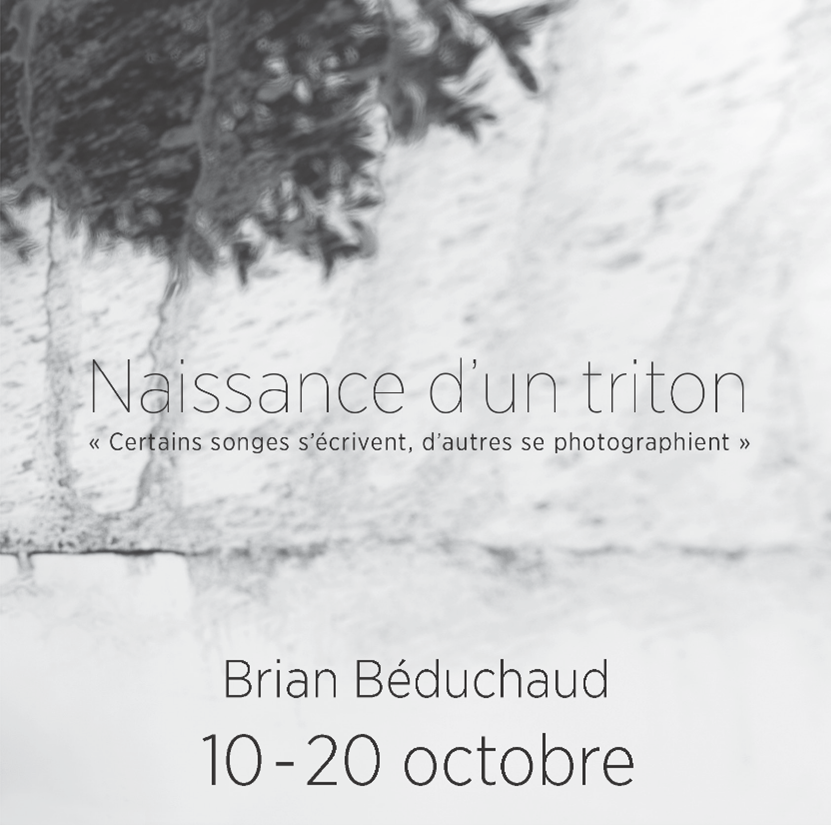 Brian Béduchaud
