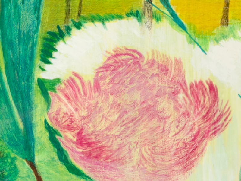 fleurs