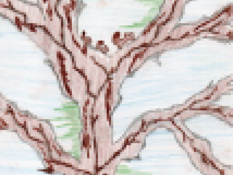 arbre