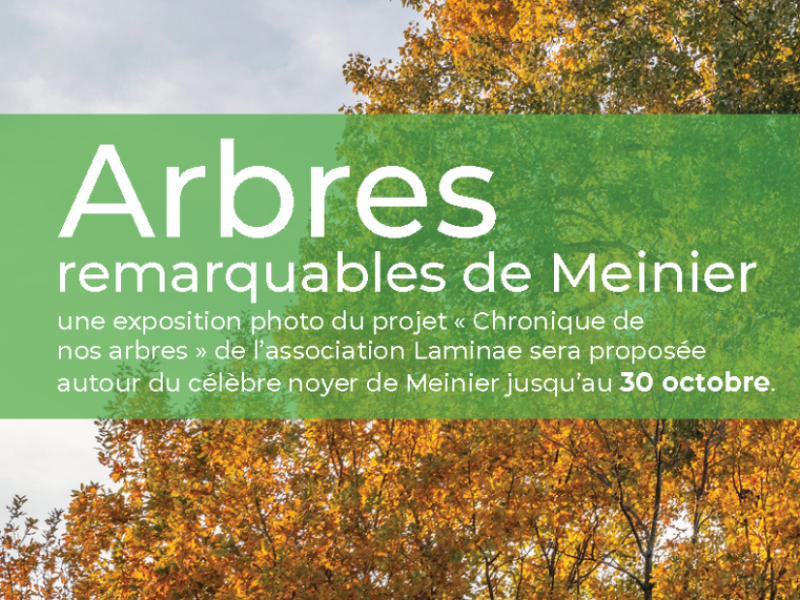 arbres remarquables