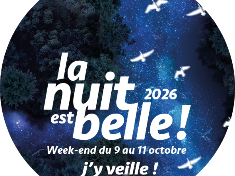 sticker la nuit est belle 2026