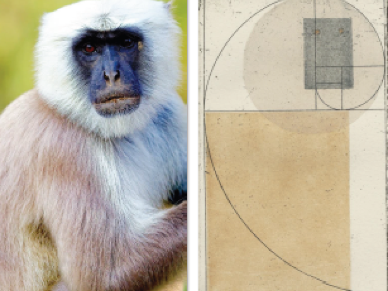 Galerie expo Sizonenko